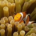 P1020237-2.jpg