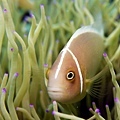 P1020248-2.jpg