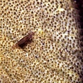 P1020302-2.jpg