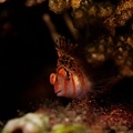 P1020344-2.jpg