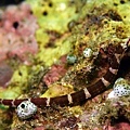 P1020352-2.jpg
