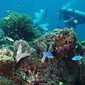 P1020697-2.jpg