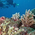 P1020700-2.jpg
