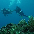 P1020701-2.jpg