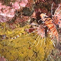 P1020706-2.jpg