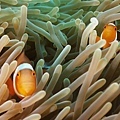 P1020760-2.jpg