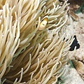 P1020787-2.jpg