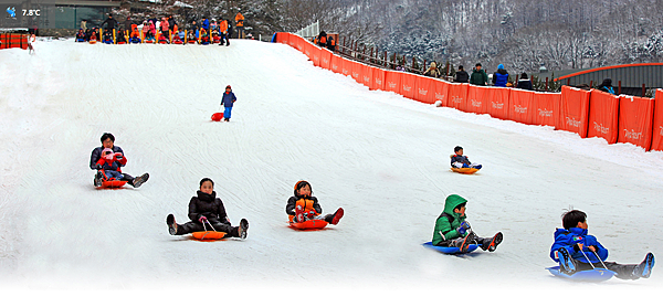 陽智PINE 滑雪度假村