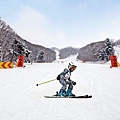 陽智PINE滑雪度假村