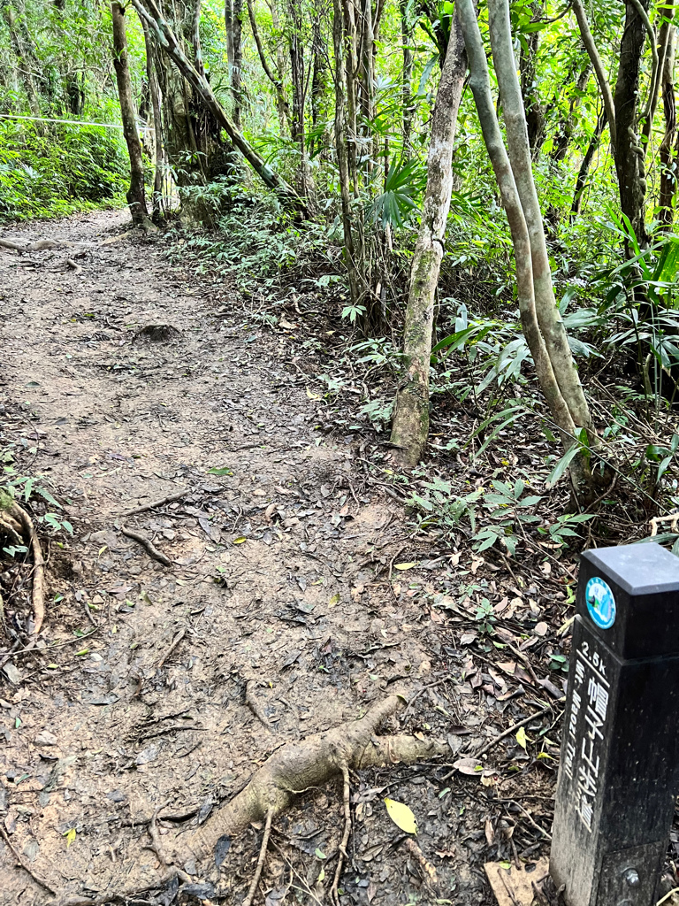 雙流國家森林遊樂區,獅子鄉景點,帽子山步道,瀑布步道,登山,郊外景點,郊外踏青