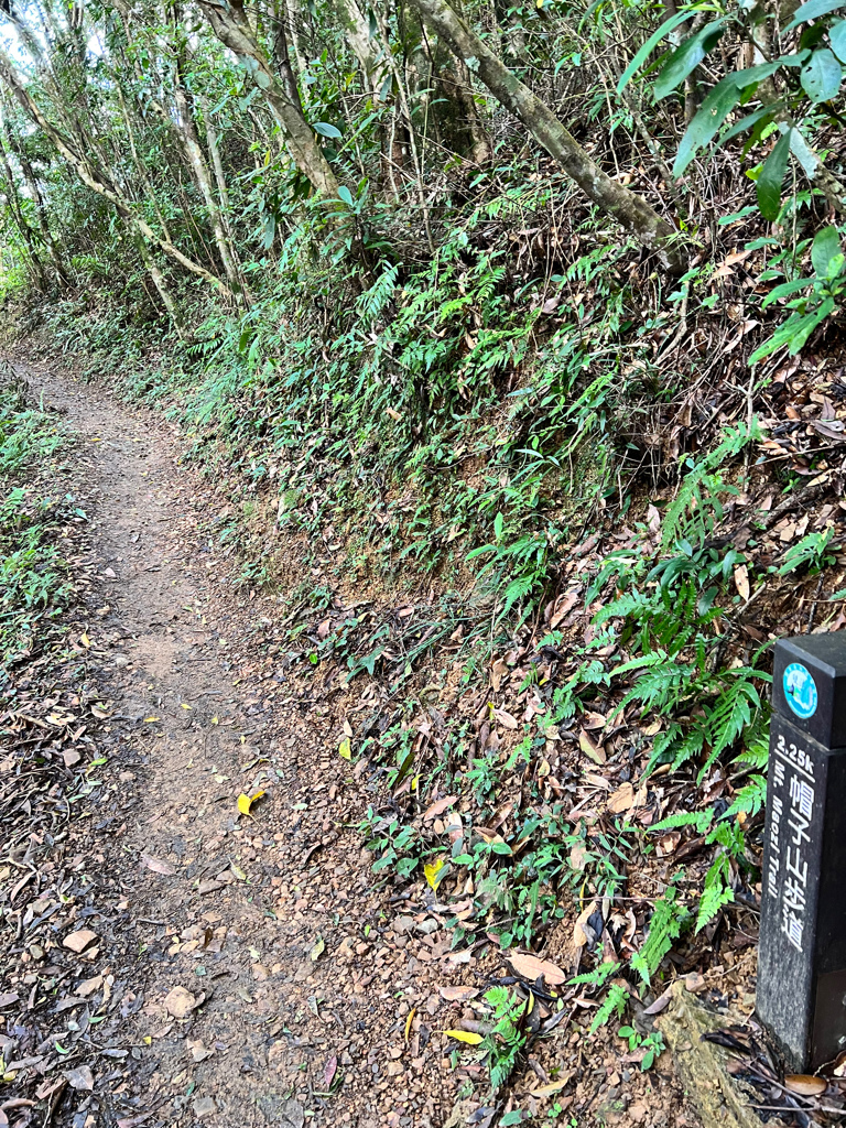 雙流國家森林遊樂區,獅子鄉景點,帽子山步道,瀑布步道,登山,郊外景點,郊外踏青