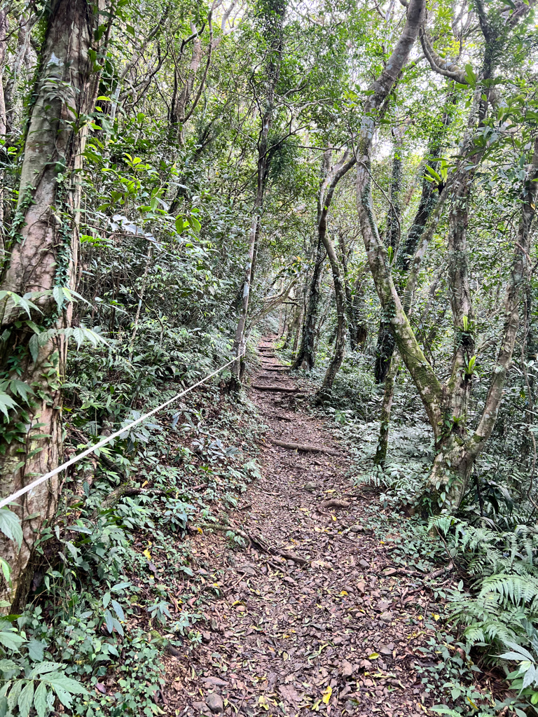 雙流國家森林遊樂區,獅子鄉景點,帽子山步道,瀑布步道,登山,郊外景點,郊外踏青