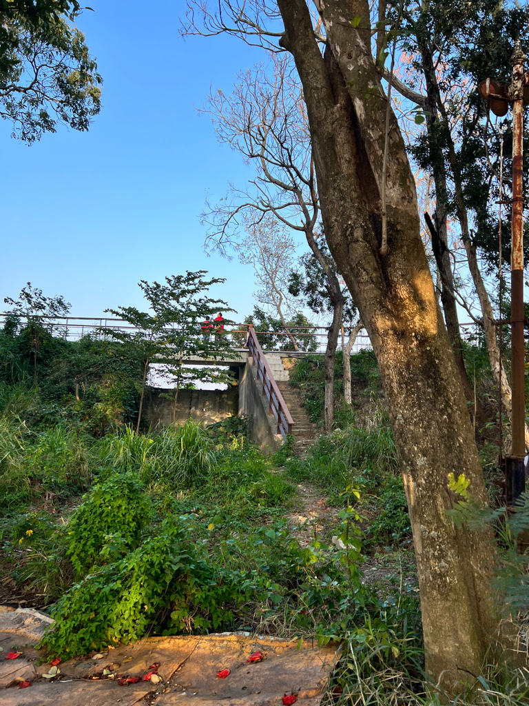 嘉義景點,嘉義景點親子,嘉義景點一日遊,六腳鄉景點,蒜頭糖廠,五分車,日式宿舍,朴子溪自行車道,松錳租車,含甘堂,小板車