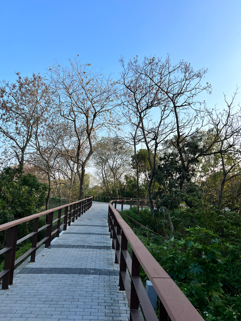 嘉義景點,嘉義景點親子,嘉義景點一日遊,六腳鄉景點,蒜頭糖廠,五分車,日式宿舍,朴子溪自行車道,松錳租車,含甘堂,小板車