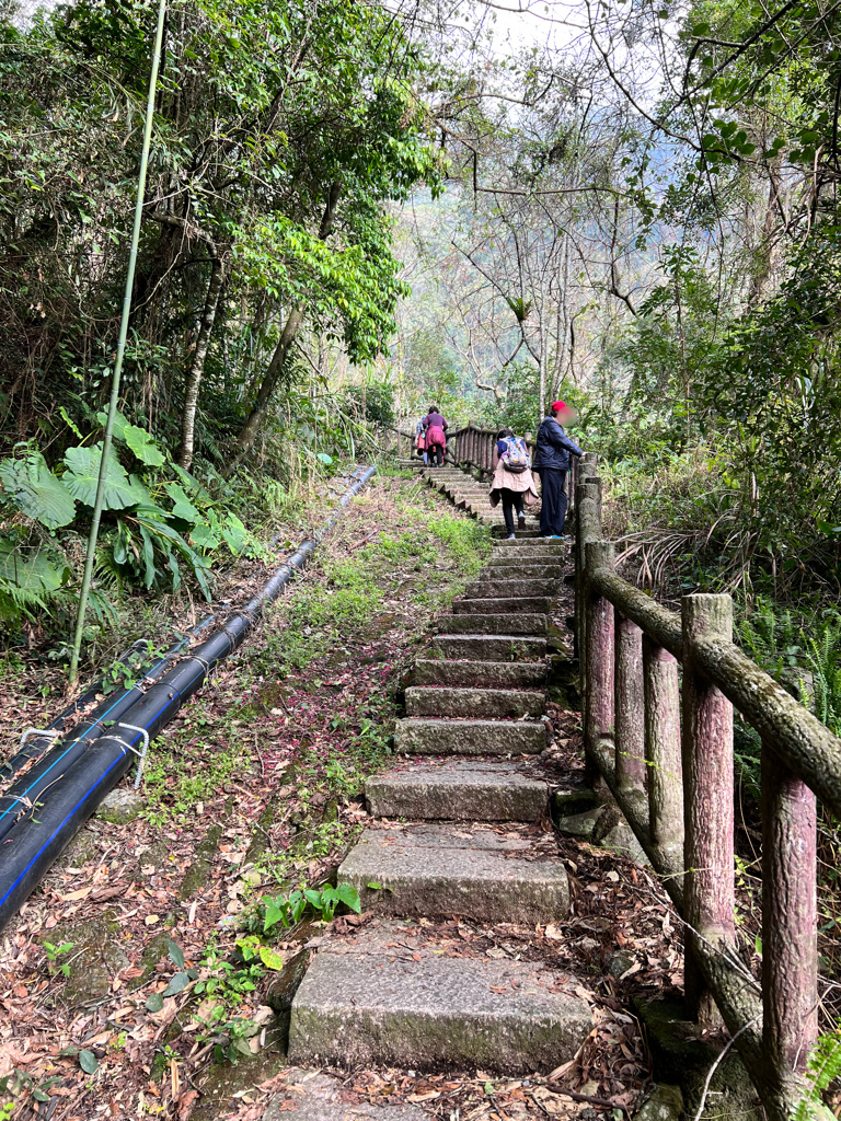 南投景點,東埔溫泉,信義鄉景點,彩虹吊橋,彩虹瀑布