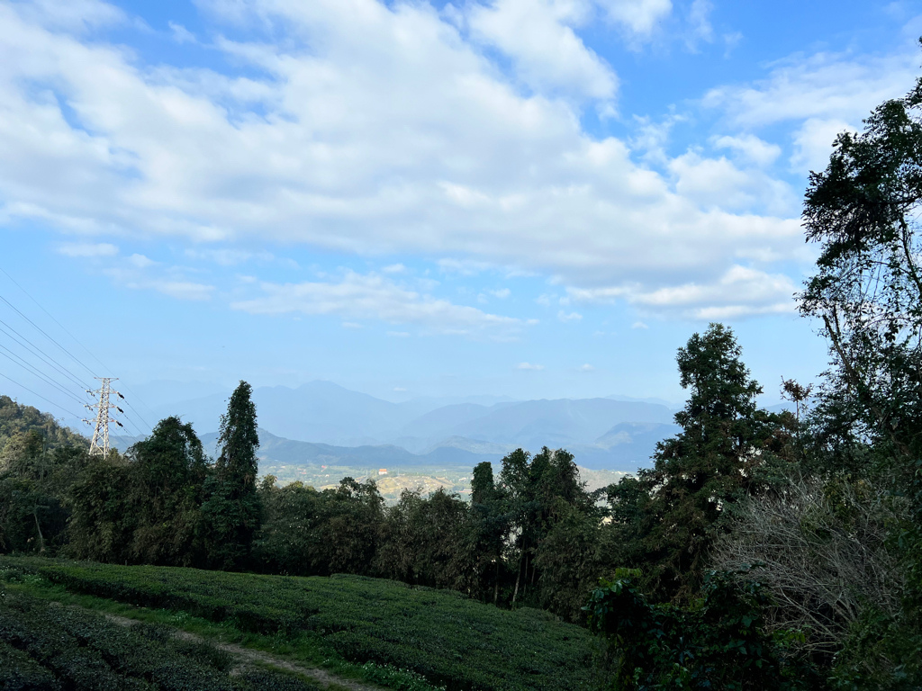 南投景點,日月潭景點,魚池鄉景點,貓㘓山,貓㘓山健行步道,貓㘓山步道,氣象站