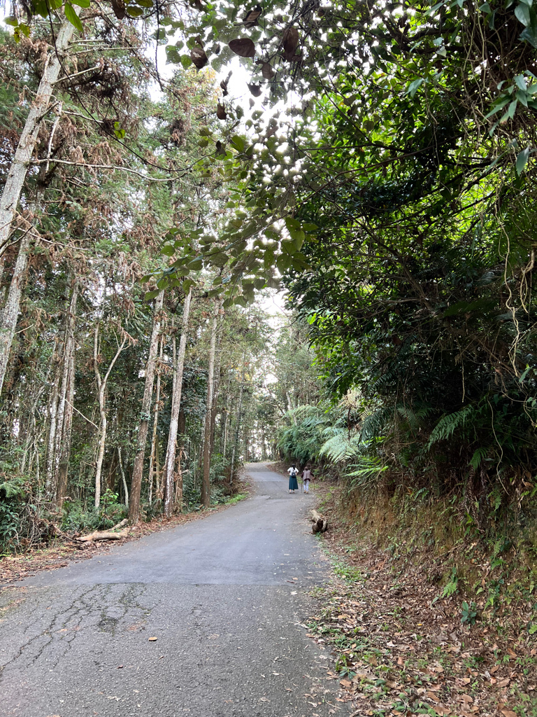 南投景點,日月潭景點,魚池鄉景點,貓㘓山,貓㘓山健行步道,貓㘓山步道,氣象站