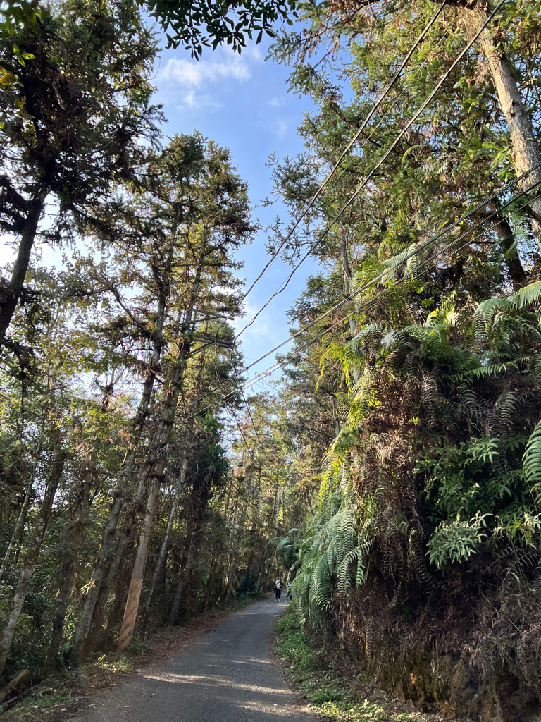 南投景點,日月潭景點,魚池鄉景點,貓㘓山,貓㘓山健行步道,貓㘓山步道,氣象站