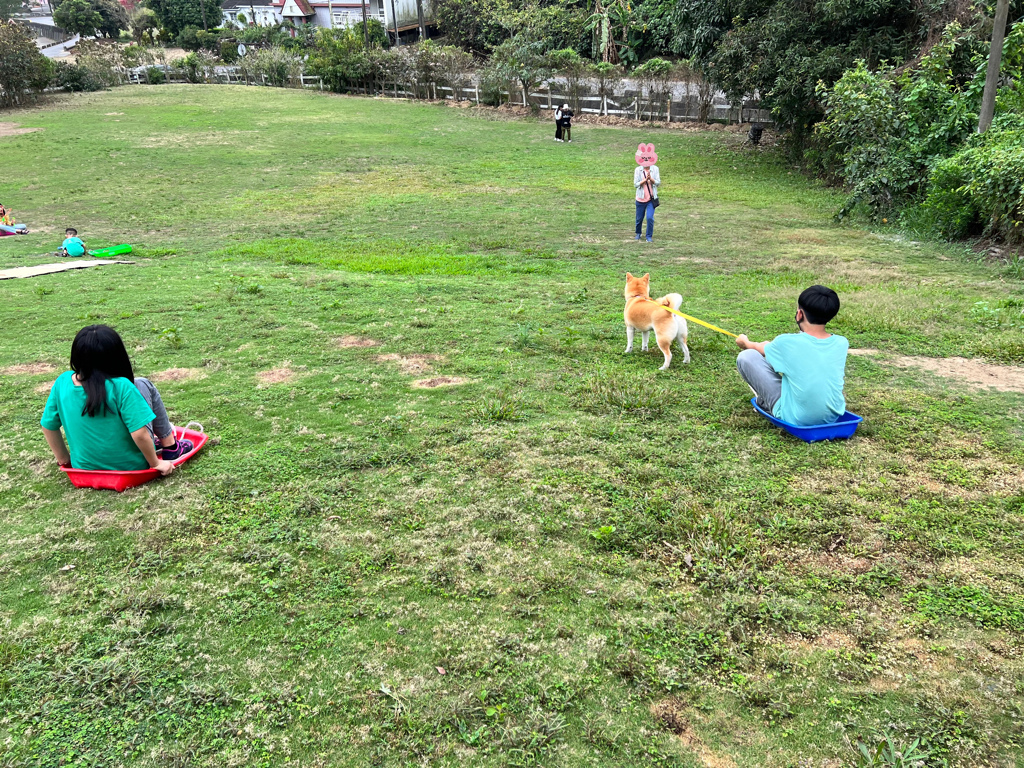 高雄景點,大樹景點,愛上布諾閣私房美食館,滑草 高雄景點,大樹景點,愛上布諾閣私房美食館,滑草