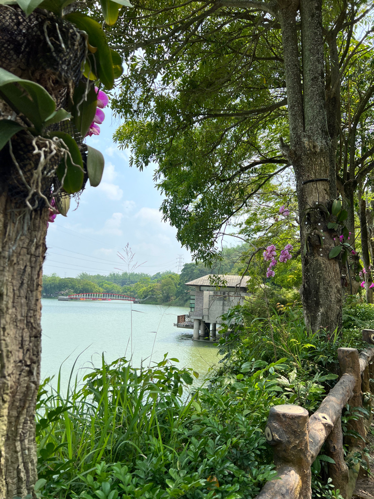 台南景點,台南景點親子,柳營景點,柳營景點推薦,尖山埤江南渡假村,獨木舟,水上腳踏車,小琉球,露水雞,柳營露水雞