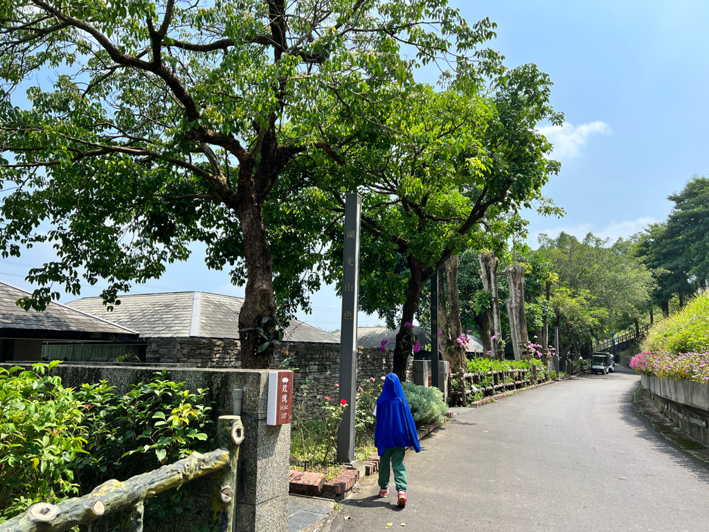 台南景點,台南景點親子,柳營景點,柳營景點推薦,尖山埤江南渡假村,獨木舟,水上腳踏車,小琉球,露水雞,柳營露水雞