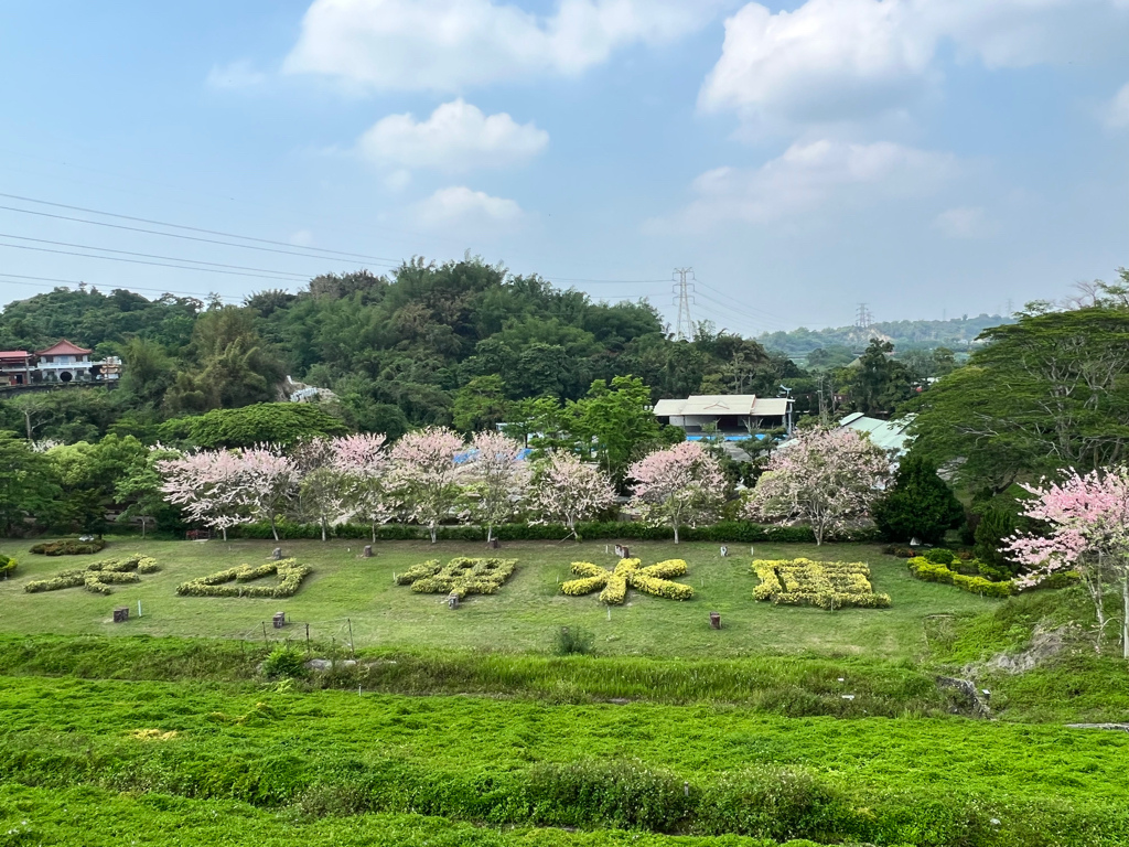 台南景點,台南景點親子,柳營景點,柳營景點推薦,尖山埤江南渡假村,獨木舟,水上腳踏車,小琉球,露水雞,柳營露水雞