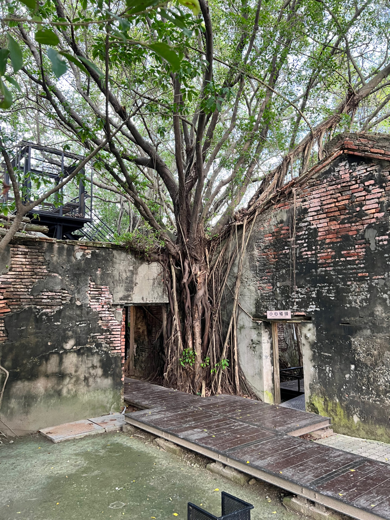 台南景點,台南景點一日遊,台南景點親子,安平景點,安平樹屋,英商德記洋行,東興洋行