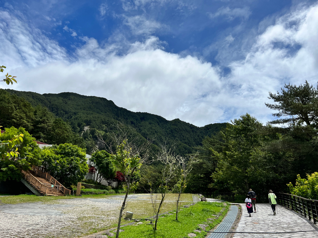 台東景點,台東景點親子,南橫景點,向陽森林遊樂區