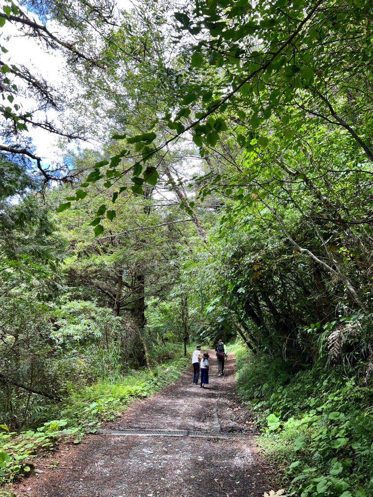 台東景點,台東景點親子,南橫景點,向陽森林遊樂區