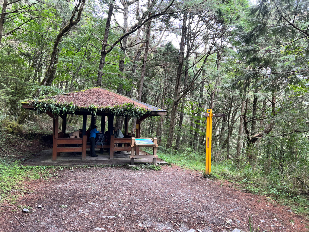 台東景點,台東景點親子,南橫景點,向陽森林遊樂區