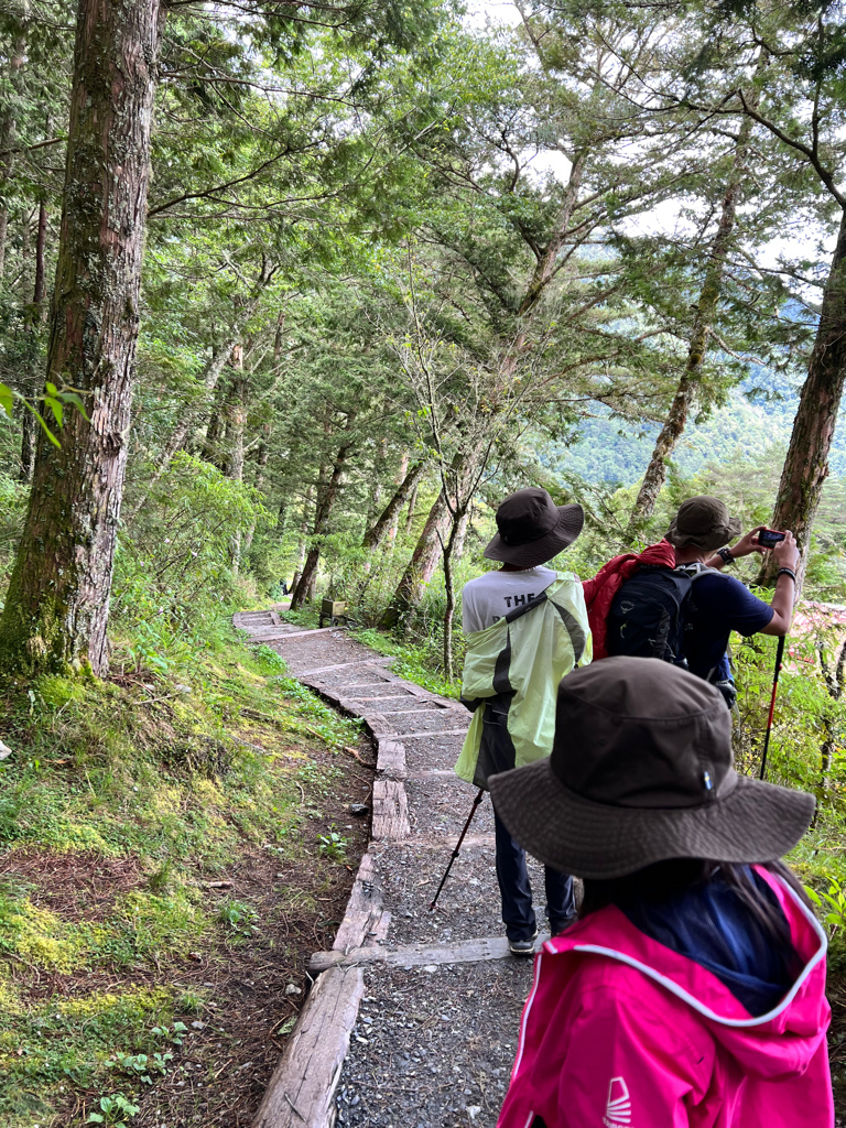 台東景點,台東景點親子,南橫景點,向陽森林遊樂區