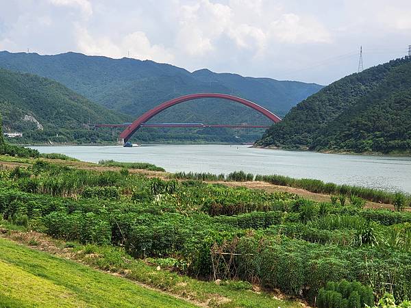 <定期出差肇慶>肇慶西江大橋、西江江景、羚羊峽古棧道