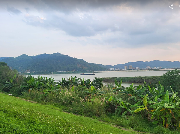 <定期出差肇慶>肇慶西江大橋、西江江景、羚羊峽古棧道