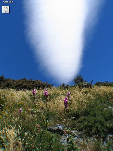 NZ 238 Mt Cook.jpg