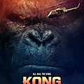 kong.jpg