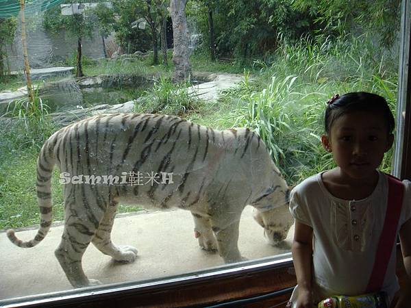 大湳水上樂園