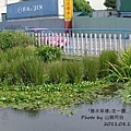 P全景1.jpg