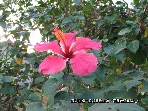 IMG_0088.JPG