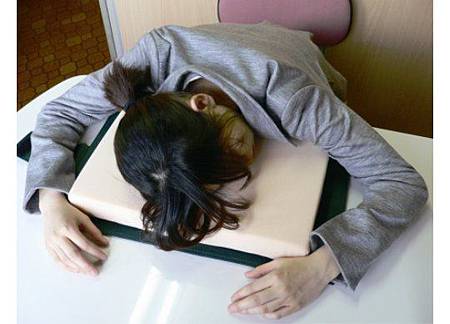 dictionary-desk-pillow-sleep-work-book-1