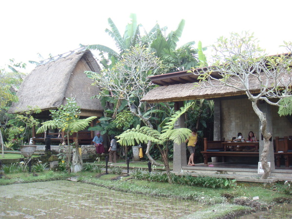 DSC08232.JPG