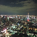 TOKYO21011.JPG