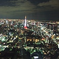 TOKYO21019.JPG