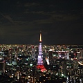 TOKYO21106.jpg