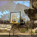 花蓮光隆博物館_岩石說故事