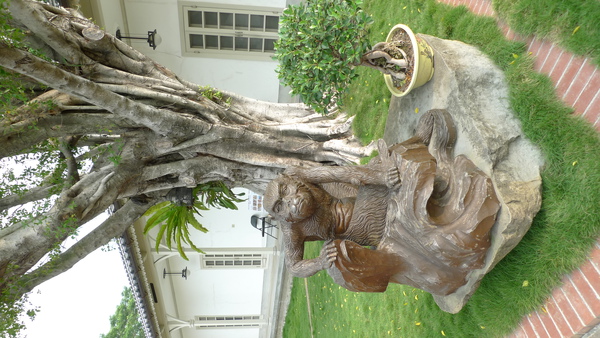 猴子的雕塑