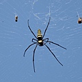 IMG_8468.JPG