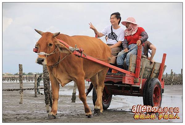 芳苑海牛車19.jpg