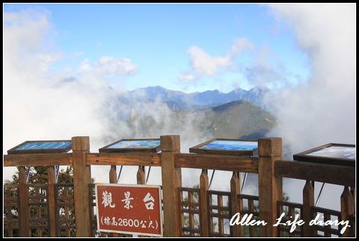 大雪山賞鳥124.jpg