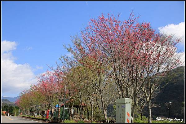 瑞岩紅香部落_087.jpg