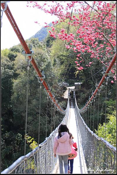 瑞岩紅香部落_099.jpg